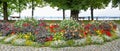 Lakeside promenade with flower bed at lake bodensee