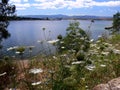 Lakeside in Sardinia with umbelliferae