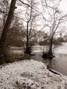 lakeside snow covered trees frozen lake scene winter december Royalty Free Stock Photo