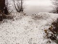 lakeside snow covered trees frozen lake scene winter december Royalty Free Stock Photo