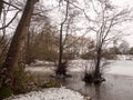 lakeside snow covered trees frozen lake scene winter december Royalty Free Stock Photo