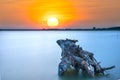 Lakeside sunset with dry stump toward the sun