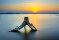 Lakeside sunset with dry twigs toward the sun Royalty Free Stock Photo