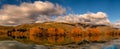 Lakeside trees under a blanket of cloud at Wairepo Arm Twizel Royalty Free Stock Photo