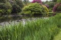 Lakeside view at Biddulph Grange, Stoke, Engalnd Royalty Free Stock Photo