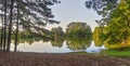 Lakeside View with Reflection