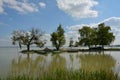 Lakeside view in summer