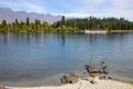 Lakeside of Wakatipu lake in Queenstown, NZ