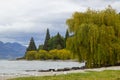 Lakeside of Wakatipu lake in Queenstown, NZ