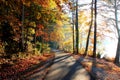 Lakeside Walking Trail in Autumn