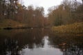 Lakewith reed  in Sonian forest in fall Royalty Free Stock Photo