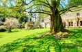 Lakewood gardens. large old tree with twisting roots