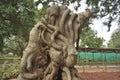 Lalbagh Botanical Gardens tree carvings, Bangalore