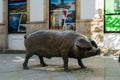 Lalin, Spain - February 2018. Royalty Free Stock Photo