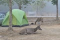 Lam ta khong camping ground in thailand