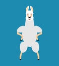 Lama Alpaca angry. Animal evil emoji. Vector illustration Royalty Free Stock Photo