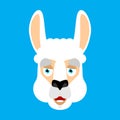 Lama Alpaca happy. Animal merryl emoji. Vector illustration Royalty Free Stock Photo