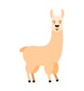 Lama Alpaca happy. Animal merryl emoji. Vector illustration Royalty Free Stock Photo