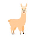 Lama Alpaca scared OMG. Animal Oh my God emoji. Frightened beast