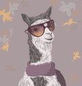 Lama on the autumn background in sunglasses and scarf Royalty Free Stock Photo