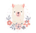 Lama cute animal baby face with flowers and leaves elements vector illustration. Hand drawn style nursery character Royalty Free Stock Photo