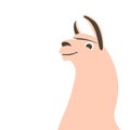 Lama head , vector illustration , flat style, profile Royalty Free Stock Photo