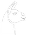 Lama head, vector illustration, lining draw, Royalty Free Stock Photo
