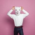 Lama human standing with hands up on pink background Royalty Free Stock Photo