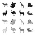 Lama, ostrich emu, young antelope, animal crocodile. Wild animal, bird, reptile set collection icons in black,monochrome