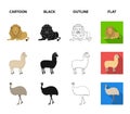 Lama, ostrich emu, young antelope, animal crocodile. Wild animal, bird, reptile set collection icons in cartoon,black