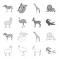 Lama, ostrich emu, young antelope, animal crocodile. Wild animal, bird, reptile set collection icons in outline