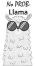 Lama in the Scandinavian style, cool, in rainbow glasses. LGBT freedom concept. No llama problem