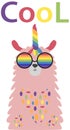 Lama in the Scandinavian style, cool, in rainbow glasses. LGBT freedom concept. No llama problem