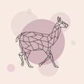 Lama side view. Geometric style. Royalty Free Stock Photo