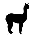 lama silhouette, on white background, isolated Royalty Free Stock Photo