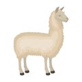 Lama, a South American pack animal. A lame, a cloven-hoofed mammal single icon in cartoon style vector symbol stock