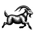 LaMancha Goat Running Vintage Vector Icon. Royalty Free Stock Photo