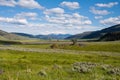 Lamar Valley in Yellowstone Royalty Free Stock Photo