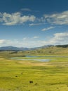 Lamar Valley in Yellowstone Royalty Free Stock Photo