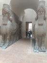 Lamassu from Khorsabad palace