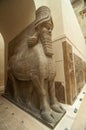 Lamassu: winged human head bull, Louvre museum Royalty Free Stock Photo