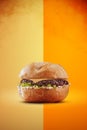 Lamb burger with crispy bun in a colorful background - Isolated