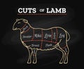 Lamb butcher chalkboard scheme