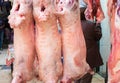 Lamb carcasses for sale at meat store Royalty Free Stock Photo