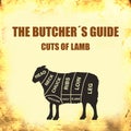 Lamb Cut of meat . Butcher diagram, scheme