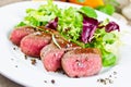 Lamb fillet with fresh salad Royalty Free Stock Photo