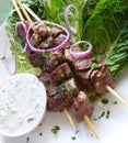 Lamb Kebabs Royalty Free Stock Photo