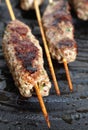 Lamb Kofta on a grill plate vertical Royalty Free Stock Photo