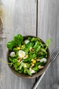 Lamb lettuce salad Royalty Free Stock Photo