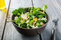 Lamb lettuce salad Royalty Free Stock Photo